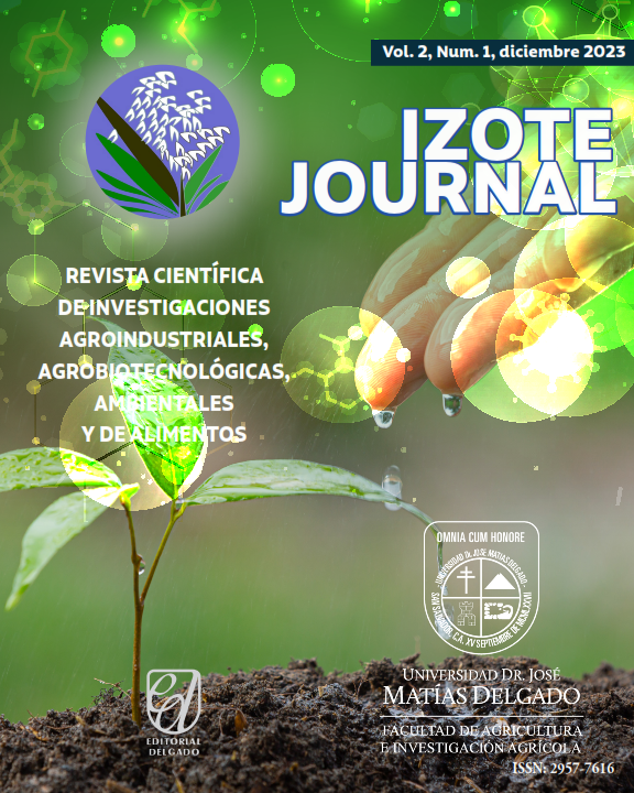 					Ver Vol. 2 Núm. 1 (2023): Izote Journal
				